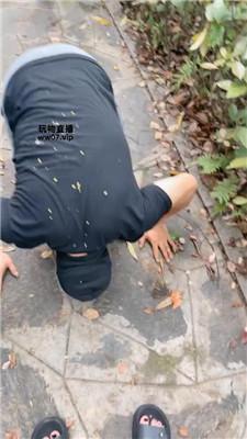 【沐沐】户外遛狗虐跟踪狂【双视角版】 JS250420-34