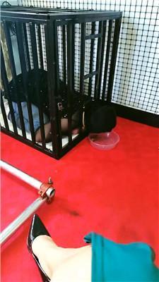 【沐颜】狗笼囚禁彻底犬化 JS250424-7