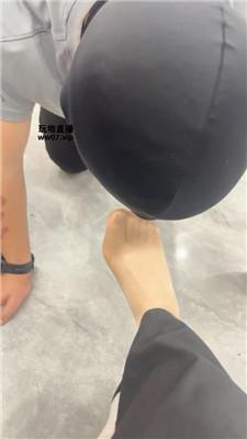 【遥苒】肉丝脚的诱惑 JS250508-6