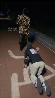 【冷颜】深夜户外遛狗犬化 bf54747