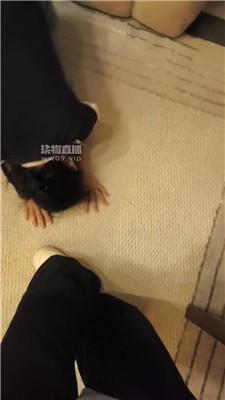 【爱可】调骚母狗舔鞋底/闻舔原味吧 bf55434