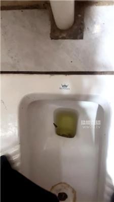 【77夫妻】踩了公厕的鞋让狗舔 JS251111-6