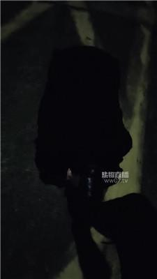 【乂乂女王】户外遛狗训化场 JS251124-57