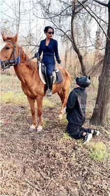 【爱丽丝】户外训化马奴 bf59691