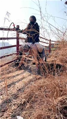 【薇薇】户外强制训野狗 bf60658