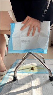 【乐乐】赏赐贱狗黄金圣水厕纸    260201-9